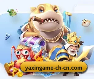 体育资讯精选池，深度分析与独家观点
